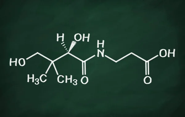 Modello strutturale di vitamina B5 — Foto Stock