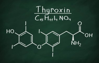 Tiroksin yapısal modeli