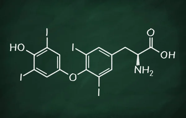 Modèle structurel de Thyroxine — Photo