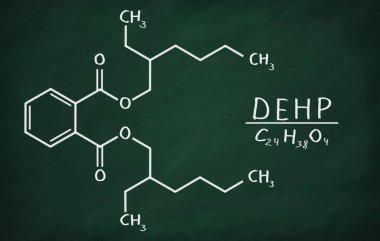 Dehp yapısal modeli