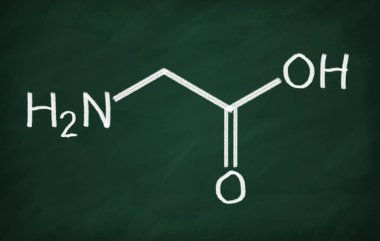 Glisin yapısal modeli