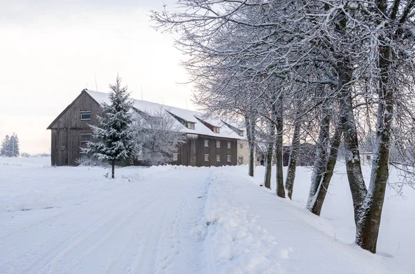 Neve coberto campo com árvores — Fotografia de Stock