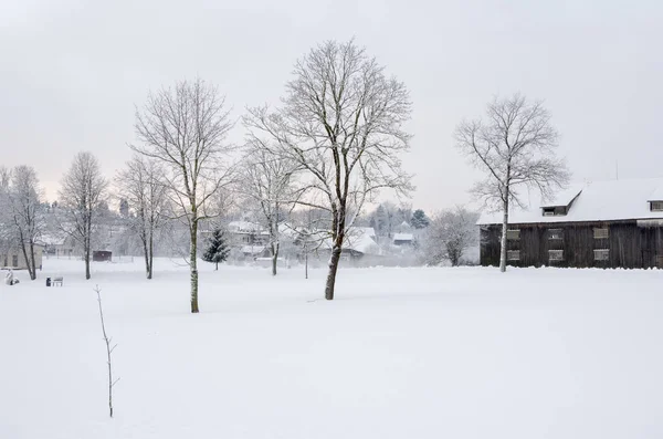 Neve coberto campo com árvores — Fotografia de Stock