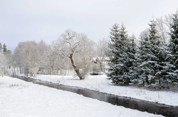 Μικρό ποτάμι με λευκό χιόνι — Φωτογραφία Αρχείου