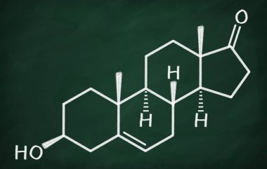 DHEA yapısal modeli