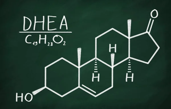 脱氢表雄酮的结构模型 — 图库照片