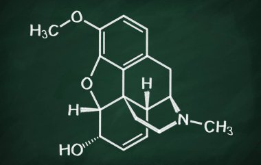 Kodein yapısal modeli