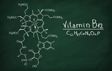 Cobalamin yapısal modeli