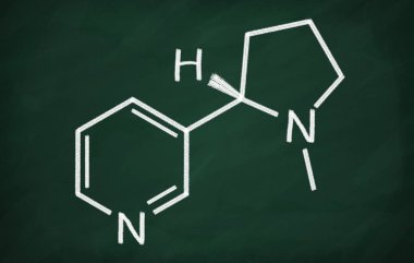 Nikotin yapısal modeli