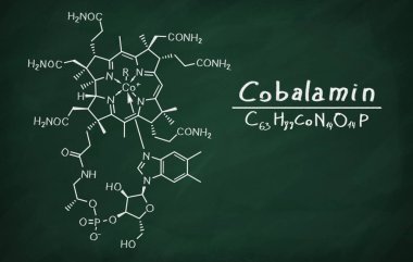 Cobalamin yapısal modeli