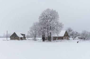 Kış peyzaj alanları 