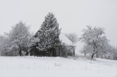 Kış peyzaj alanları 