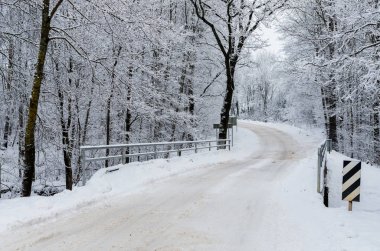 Yol ormanda kış karını kaplamıştı.