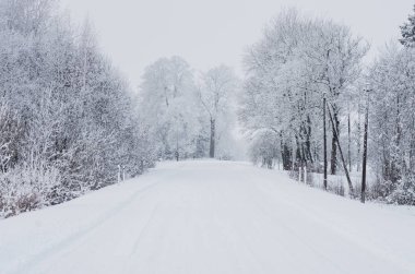 Yol ormanda kış karını kaplamıştı.