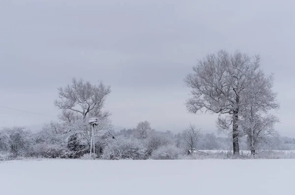 Paisaje de invierno de campos — Foto de Stock