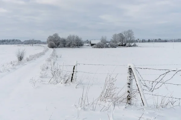 Снежная зимняя сцена — стоковое фото