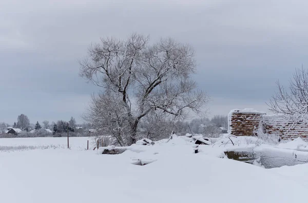 Winter landscape of fields — Stock Photo, Image