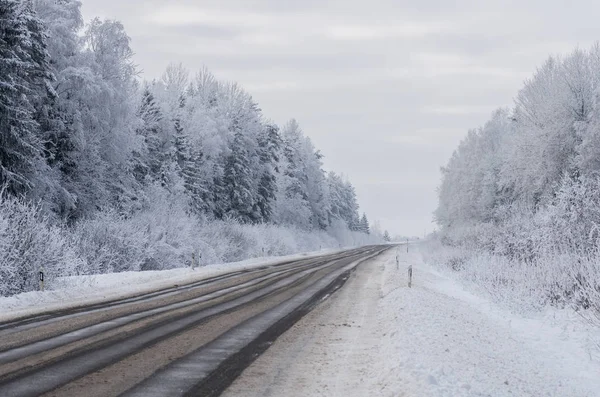 Estrada coberto neve de inverno na floresta — Fotografia de Stock