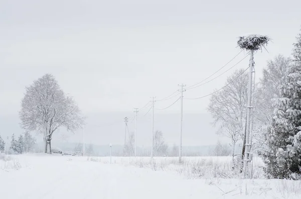 Paisagem de inverno de campos — Fotografia de Stock