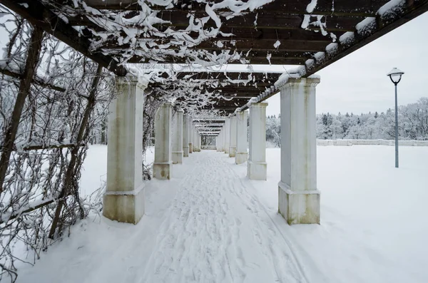 Callejón de columnas en el período de invierno — Foto de Stock