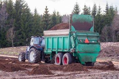 Yataklar yaban mersini ekime hazırlanması