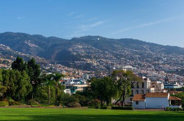 Parktan Funchal şehrinin manzarası