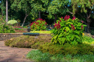 Funchal şehrinin parkı