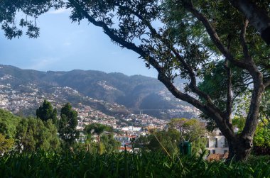Parktan Funchal şehrinin manzarası