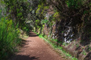 Sulama kanalı levada
