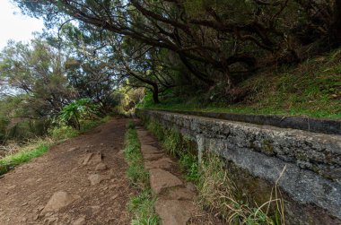 Sulama kanalı levada