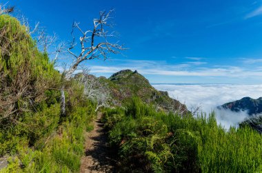 Pico Arieiro dağından Pico Ruivo dağına