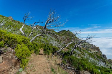 Pico Arieiro dağından Pico Ruivo dağına