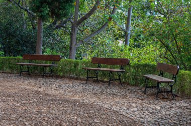 Botanik Bahçesindeki patika