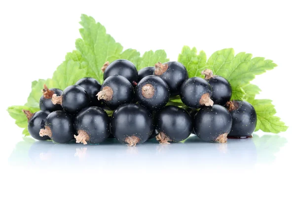 Grosellas negras bayas frutas frescas frutas aisladas en wh — Foto de Stock