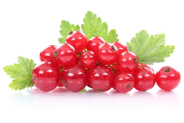 Red currant currants berries fresh fruits fruit isolated on whit — Stock Photo, Image