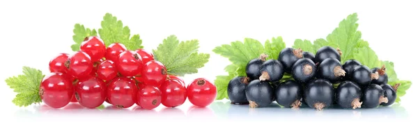 Rote und schwarze Johannisbeeren Beeren Früchte — Stockfoto
