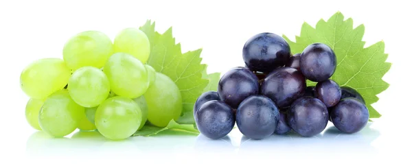 Vinné hrozny zelenomodré čerstvé ovoce — Stock fotografie