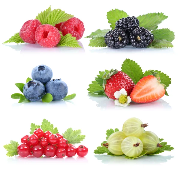 Collection of berries strawberries blueberries red currant berry Royalty Free Stock Photos