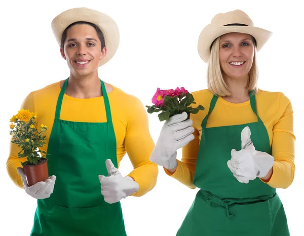 Bahçıvan takım gardner Çiçek Bahçe Bahçe işgal başparmak 