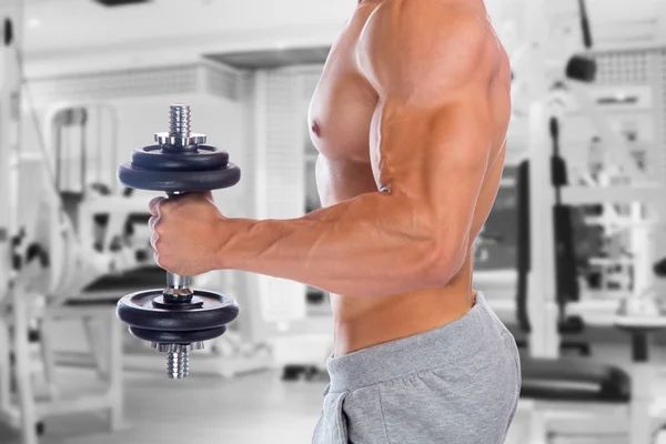Güç güçlü kas vücut geliştirmeci bodybuilding fitness spor salonu muscl — Stok fotoğraf