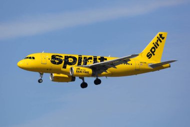 Ruh Hava Yolları'nın Airbus A319 uçak