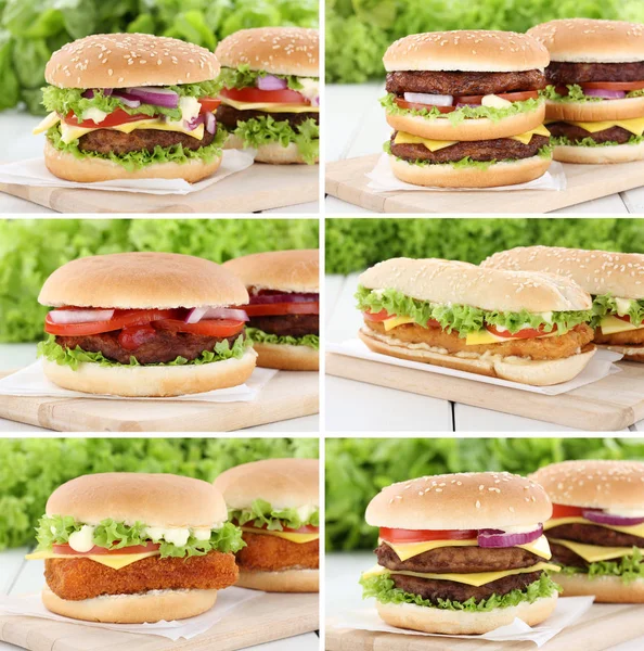 Coleção de hambúrgueres conjunto cheeseburger hambúrguer tomate queijo — Fotografia de Stock