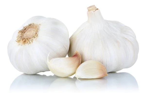 Knoblauch gesund Gewürz frisch isoliert auf weiß — Stockfoto