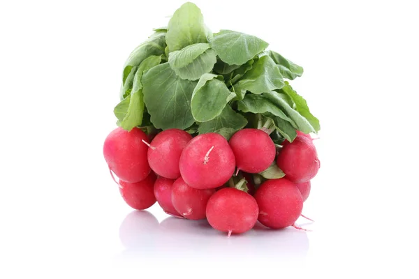 Red radish vegetable isolated — Stock Photo, Image