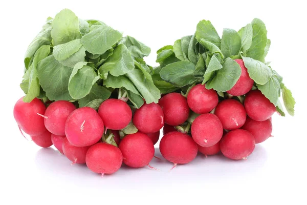 Rábano rojo rábanos vegetales aislados — Foto de Stock