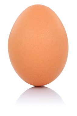 izole kahverengi yumurta