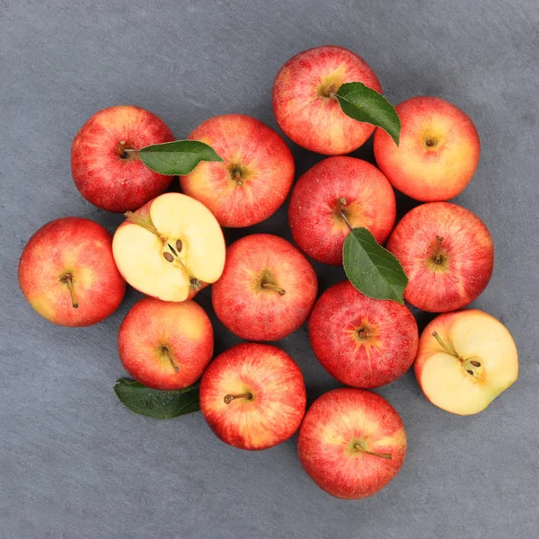 Elma elma meyve kayrak kırmızı üstten görünüm kare