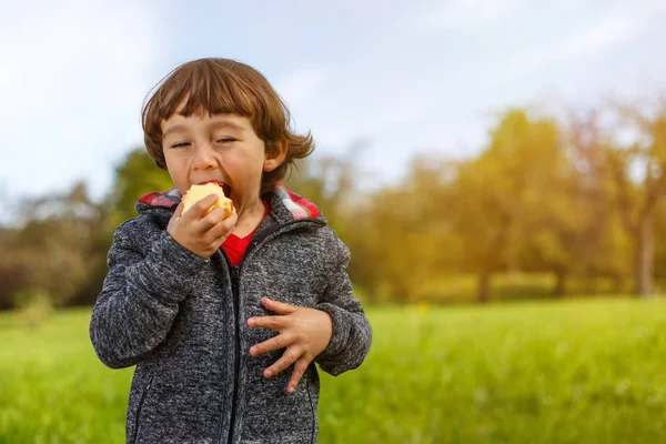 Дитина їсть яблучні фрукти на відкритому повітрі осінь осінь природа здорова — стокове фото