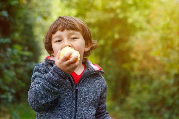 Liten pojke barn barn äta äpple frukt hösten fall copyspace ga — Stockfoto
