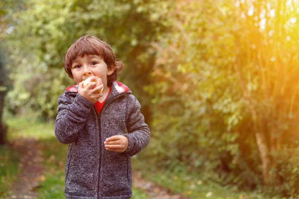 Niño pequeño niño comiendo fruta de manzana al aire libre otoño otoño copia — Foto de Stock